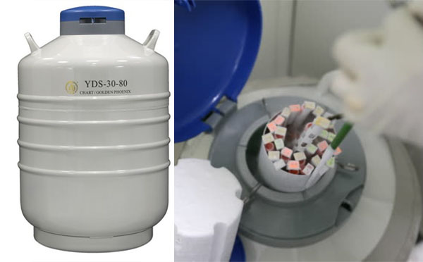 金鳳液氮罐yds30 金鳳液氮罐yds30